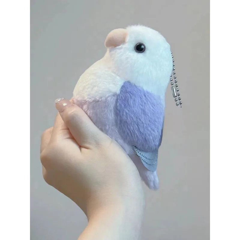 Lovebird Parrot - Image 5