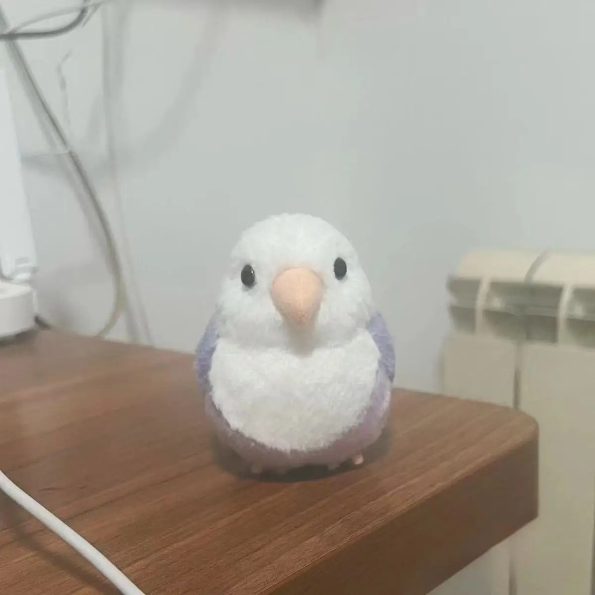 Lovebird Parrot - Image 7