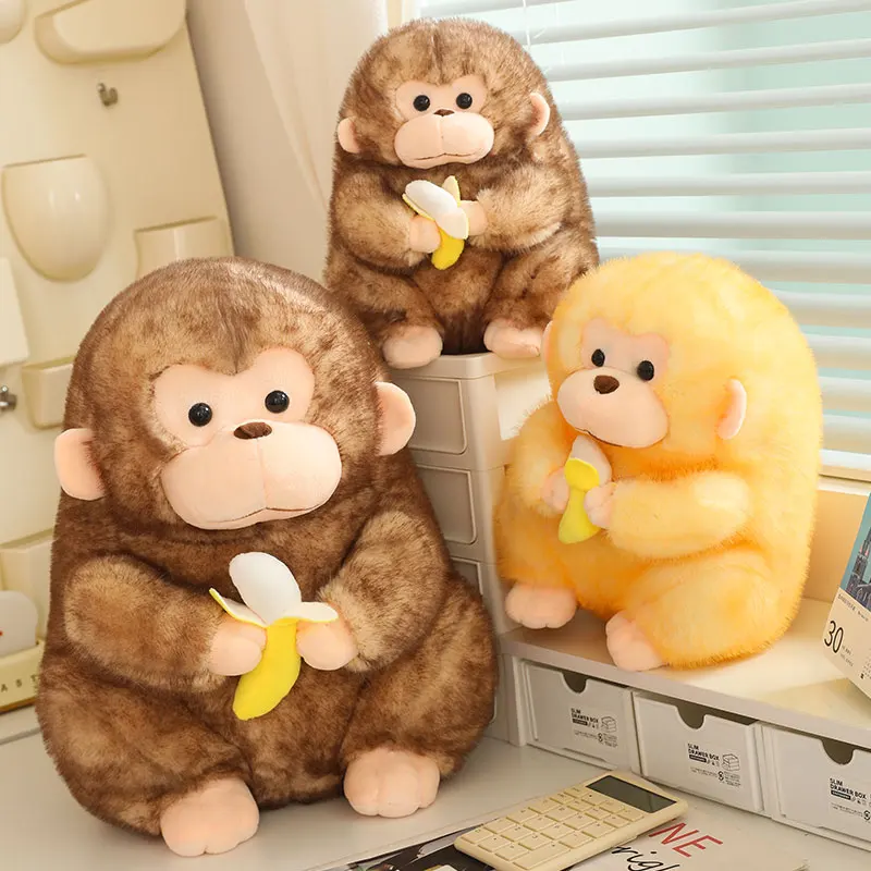 Lucky Monkey - Image 4