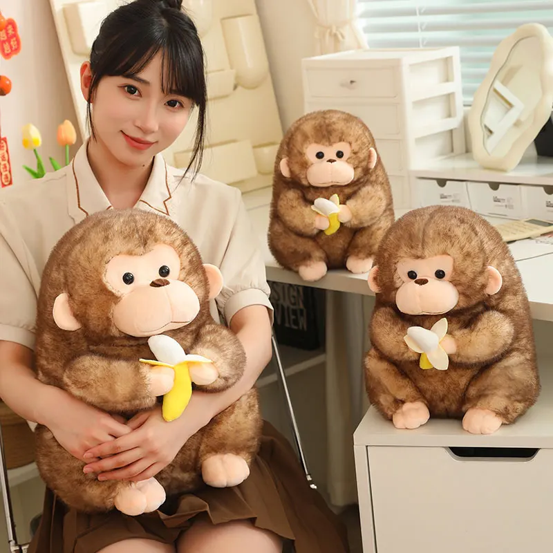 Lucky Monkey - Image 7