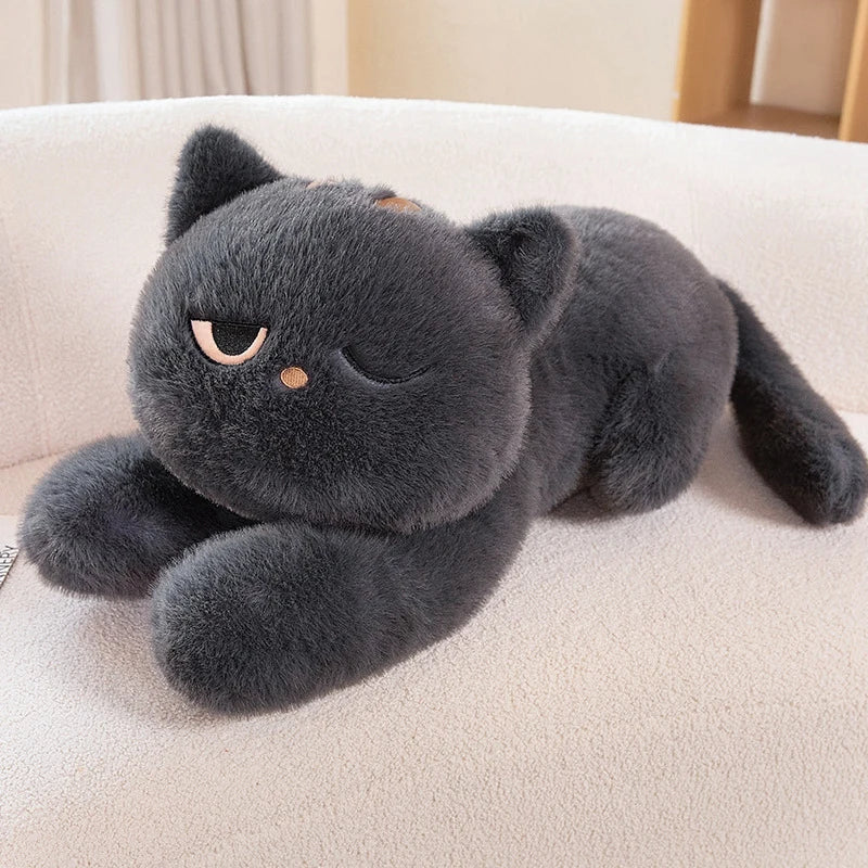 Mad Kittens - Image 10