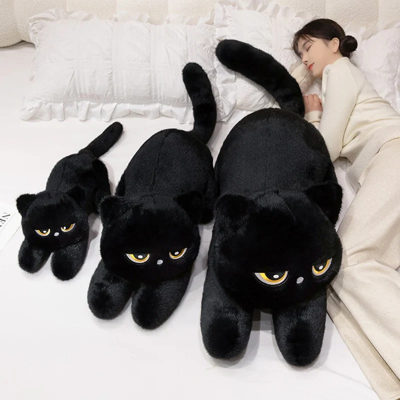 Mad Kittens - Image 5