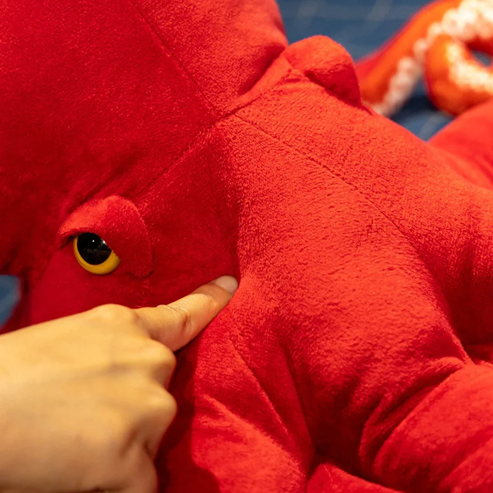 Octopus - Image 7