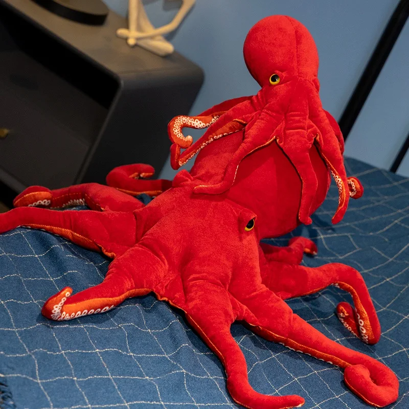 Octopus - Image 8