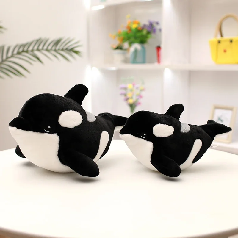 Orca - Image 2