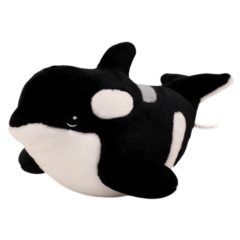 Orca - Image 3