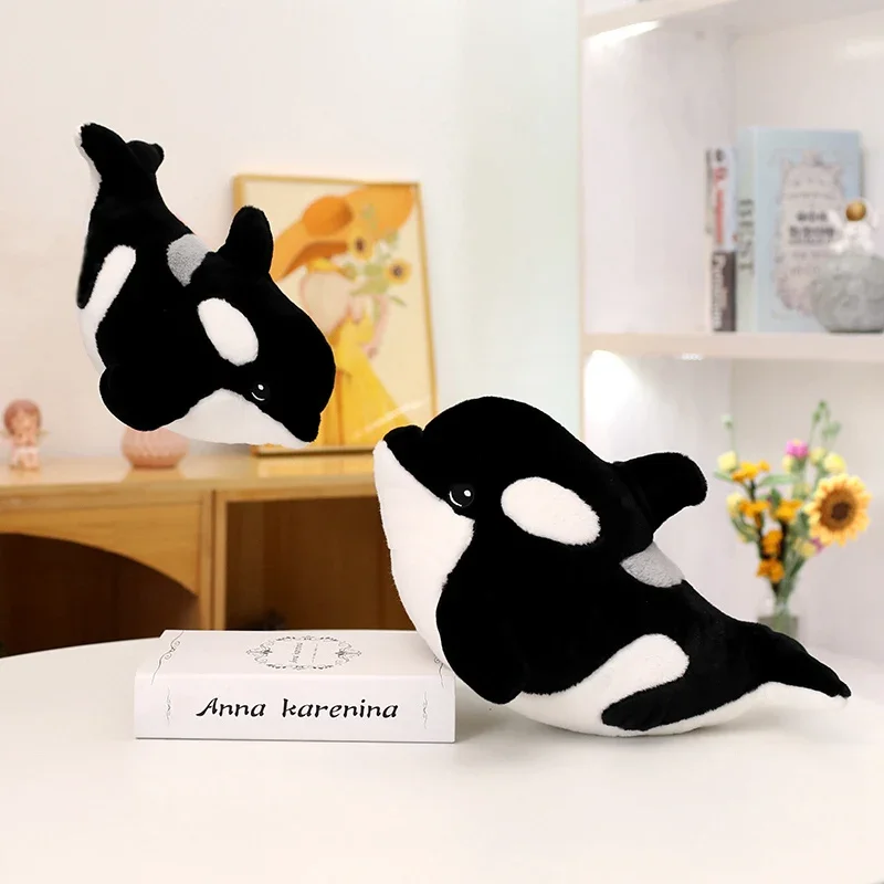 Orca - Image 4
