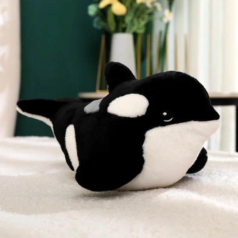 Orca - Image 5