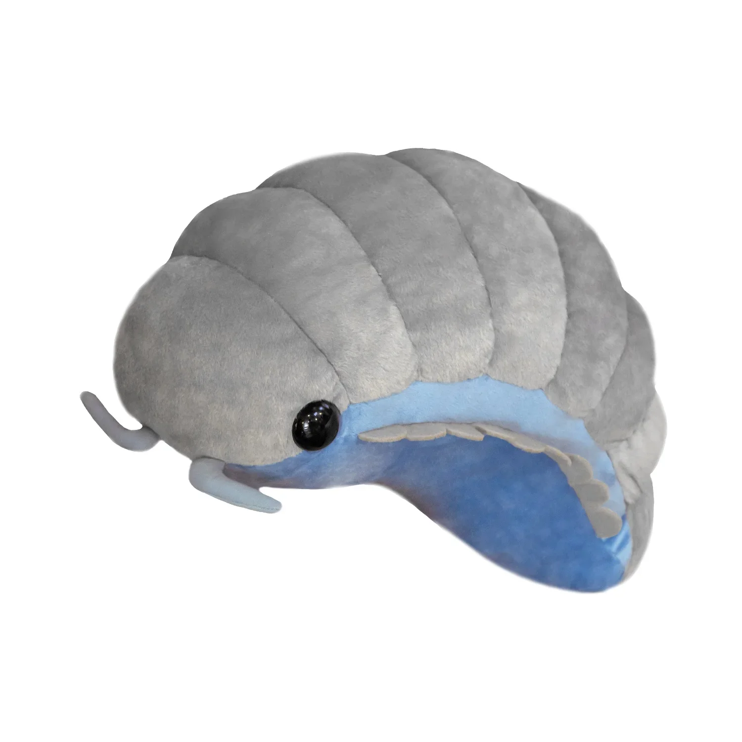 Pill Bug - Image 4
