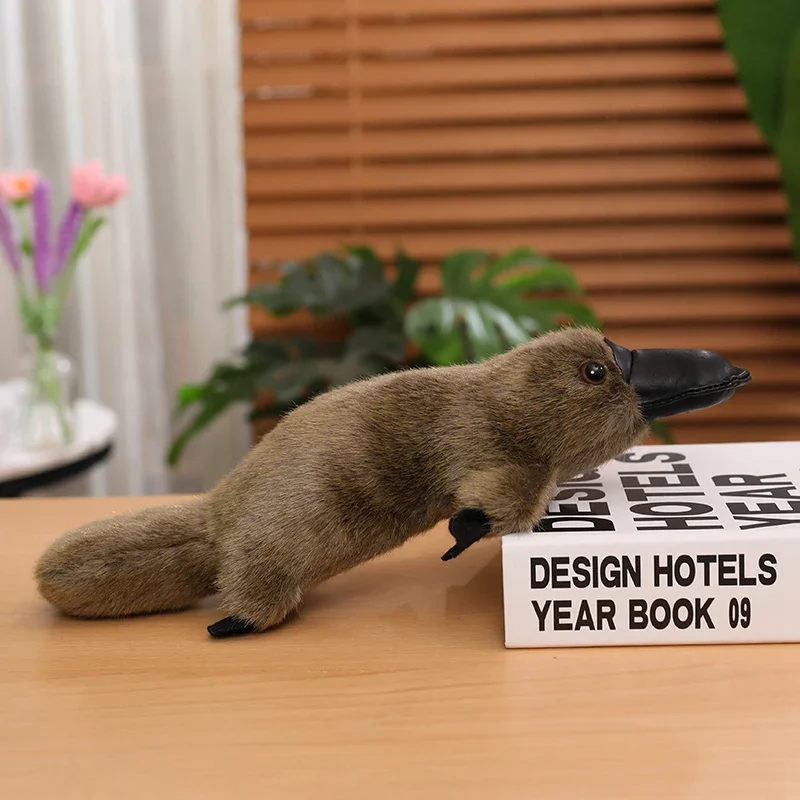Platypus - Image 8