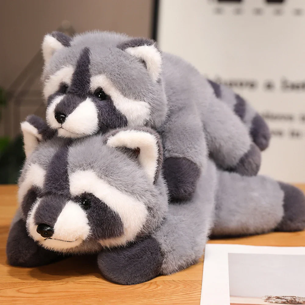 Raccoon