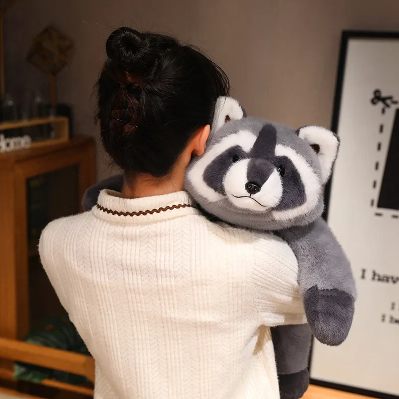 Raccoon - Image 10