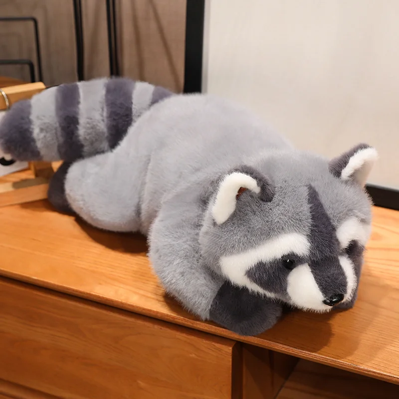Raccoon - Image 11