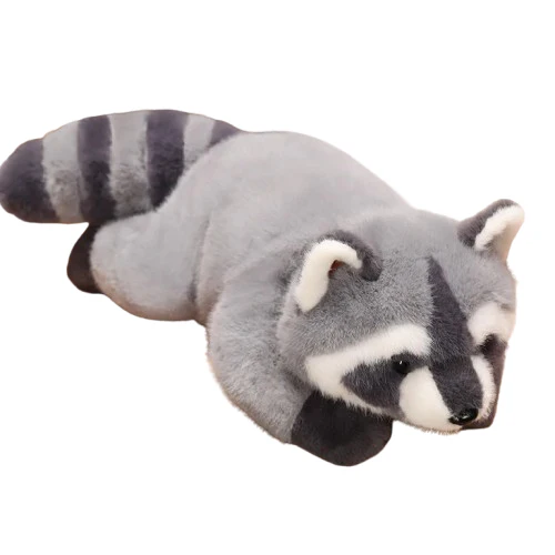 Raccoon - Image 2