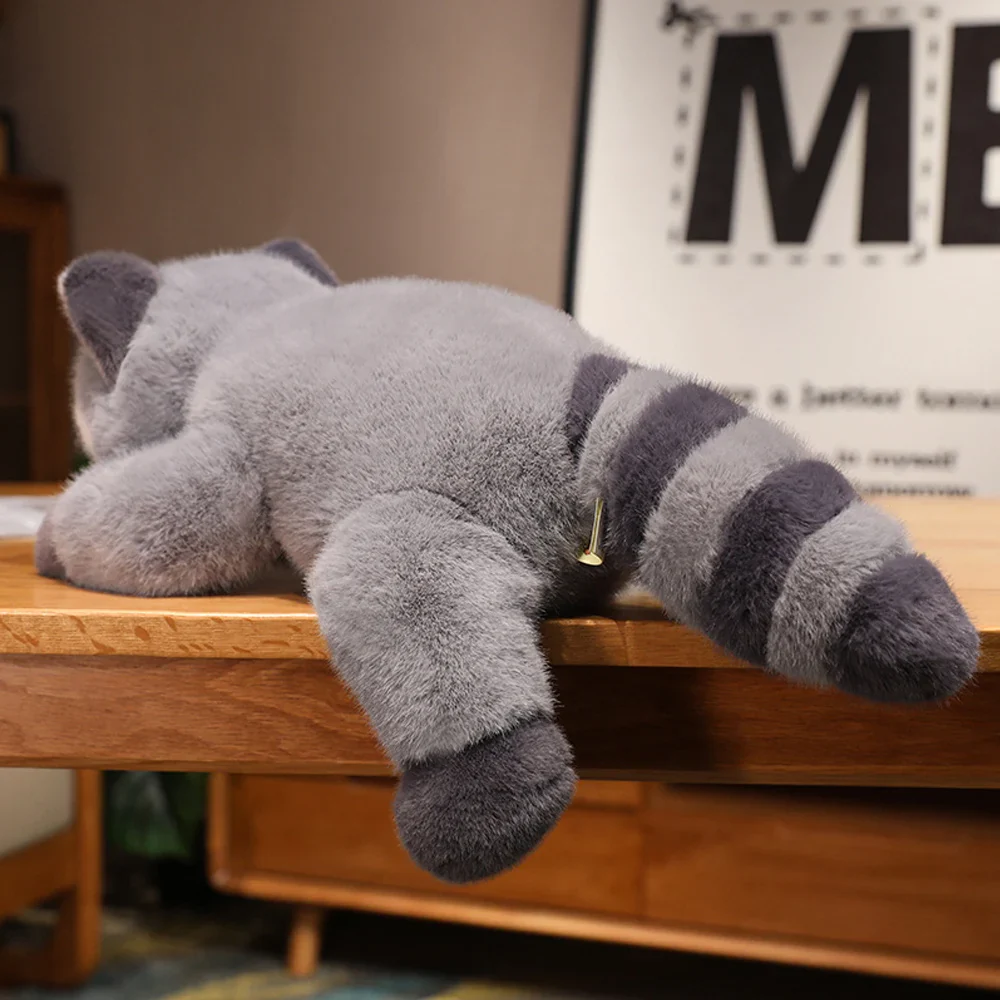 Raccoon - Image 3