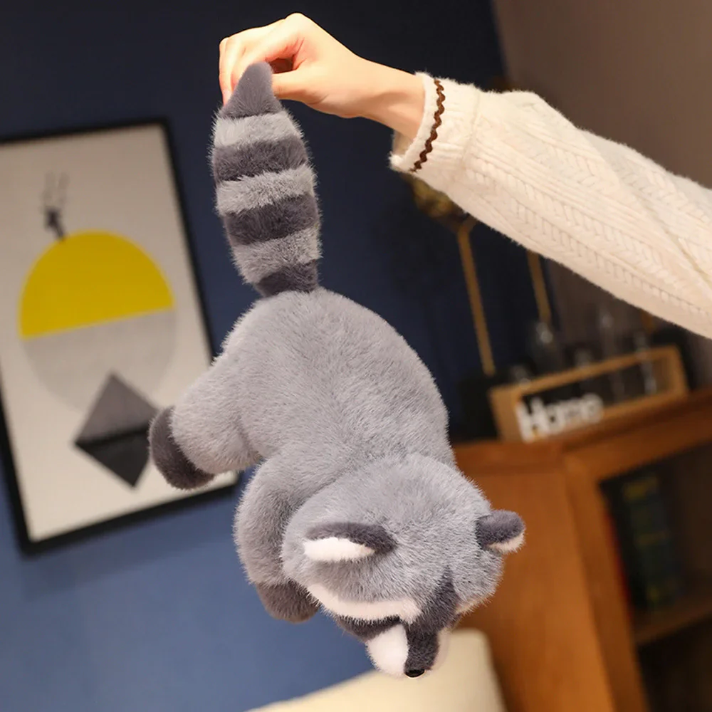 Raccoon - Image 4