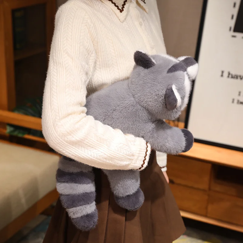 Raccoon - Image 6