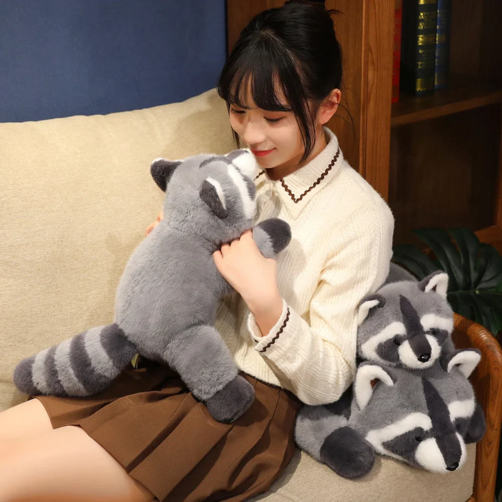 Raccoon - Image 7
