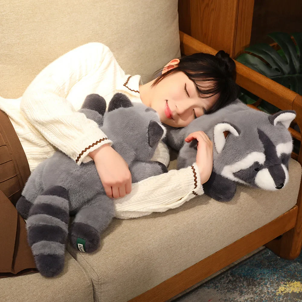 Raccoon - Image 8