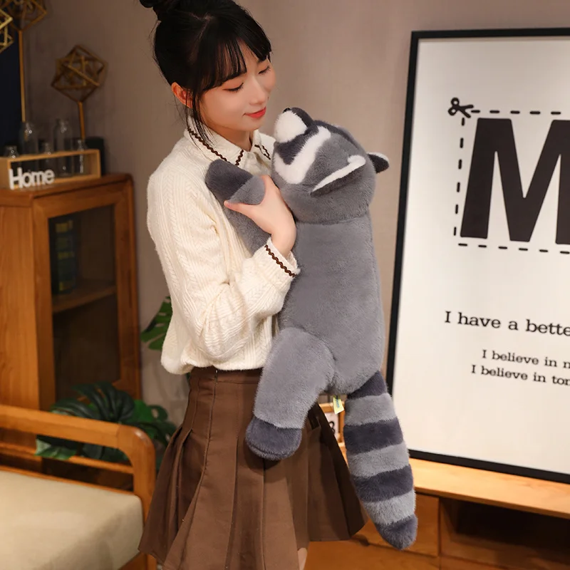 Raccoon - Image 9