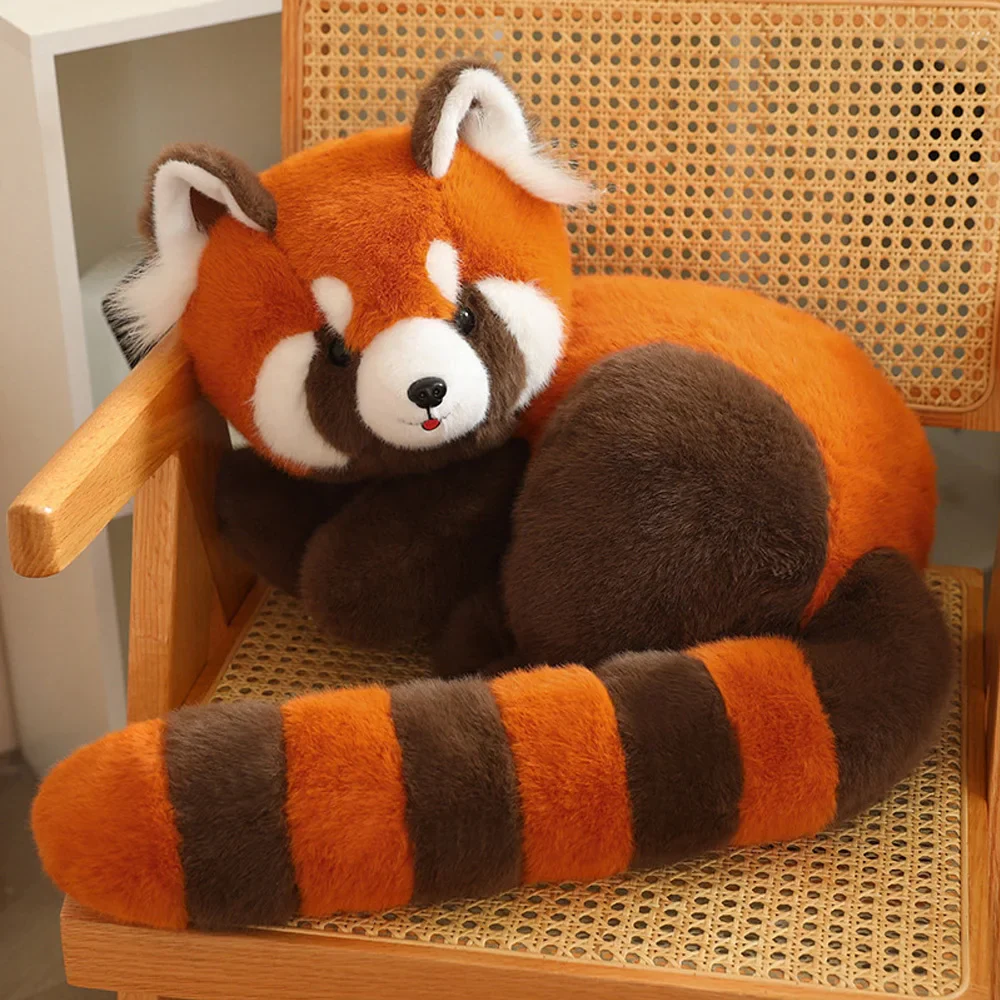 Red Raccoon - Image 6