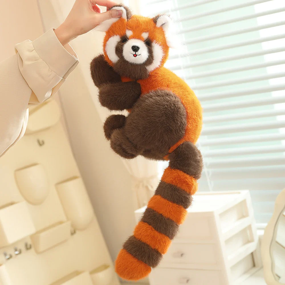 Red Raccoon - Image 9