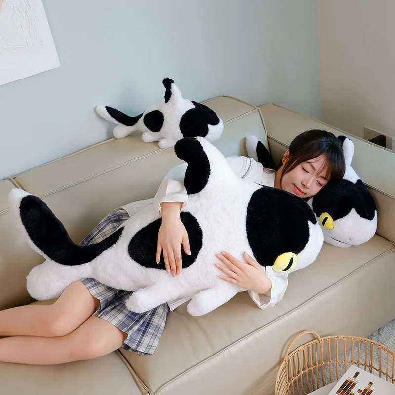 Sharkitty - Image 9