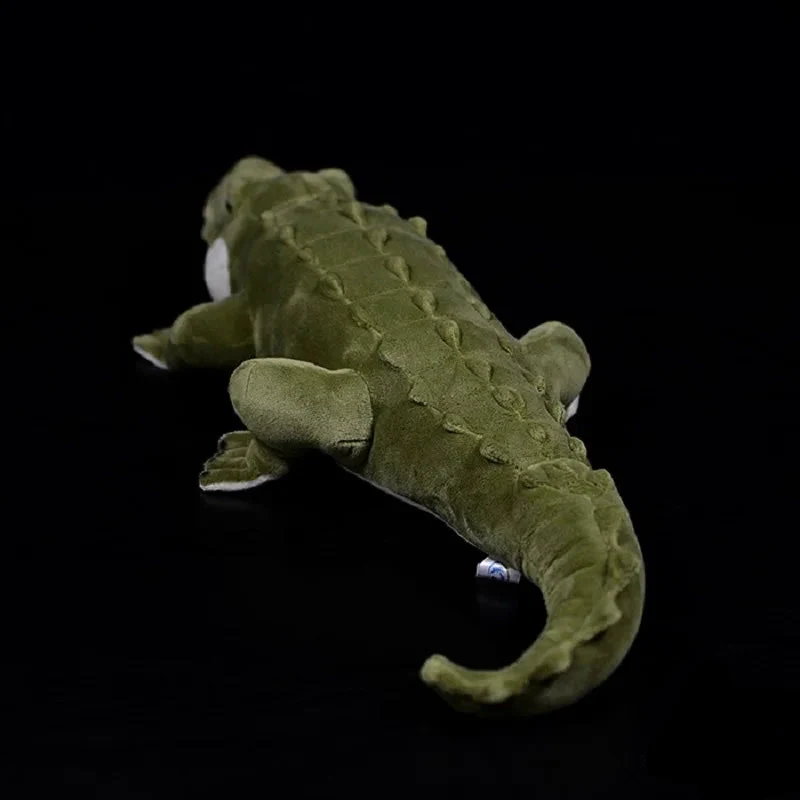 simulation crocodile - Image 2
