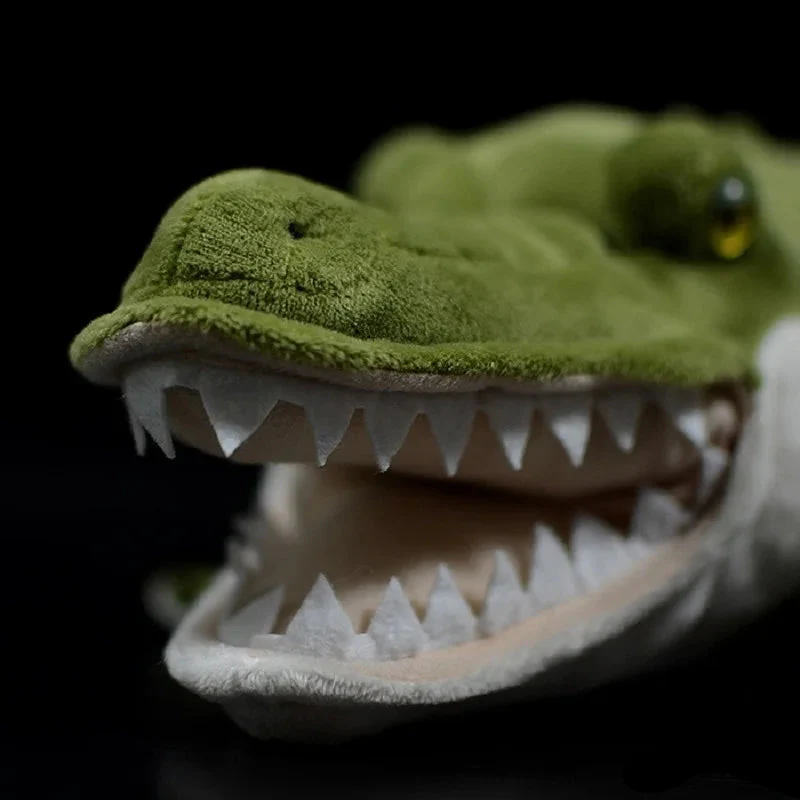 simulation crocodile - Image 3