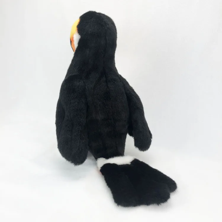 Toucan - Image 4
