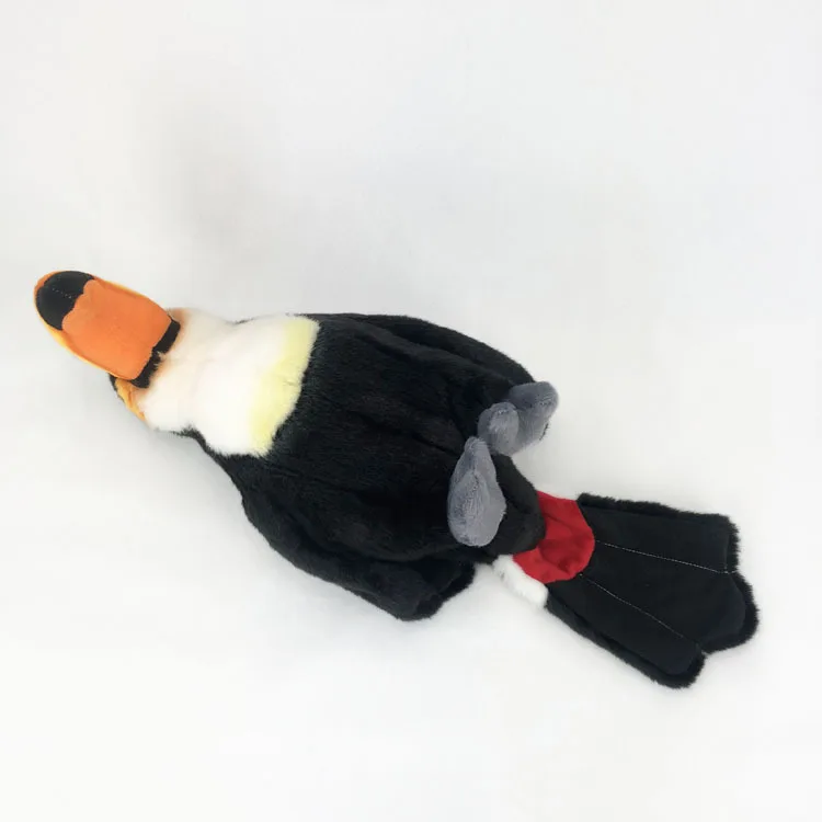 Toucan - Image 5
