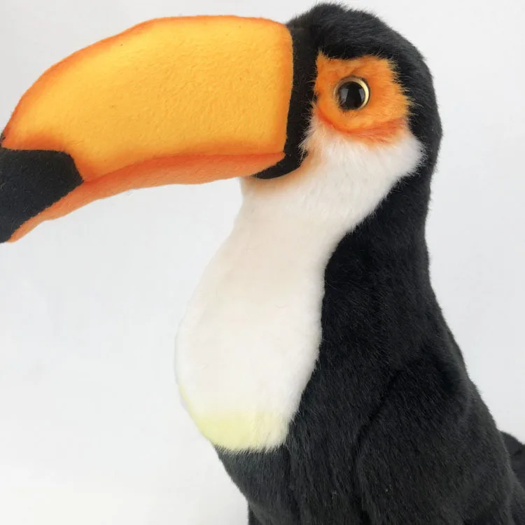 Toucan - Image 6