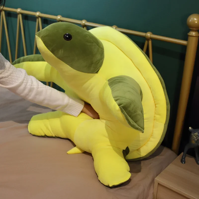 Turtle - Image 5