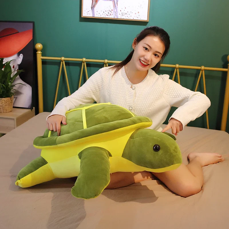 Turtle - Image 6