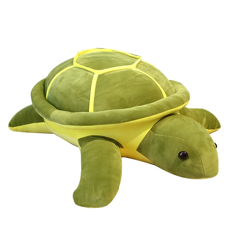 Turtle - Image 7